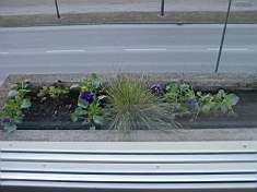 Idag 2004-03-28 009.jpg